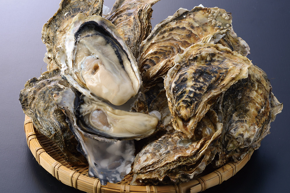 [Akkeshi Town] Oysters available year round