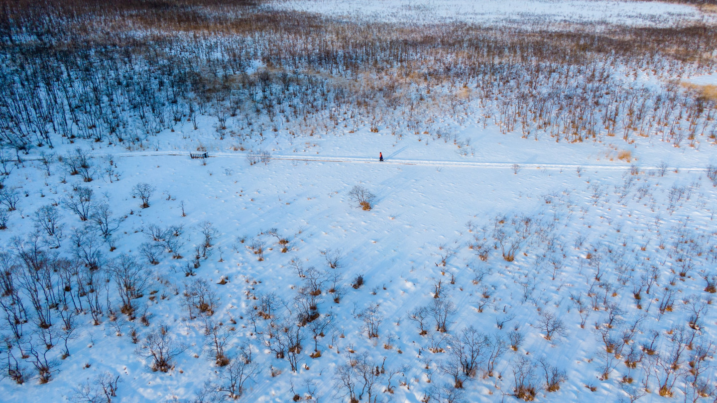 1. Snowshoeing in Kushiro Wetland