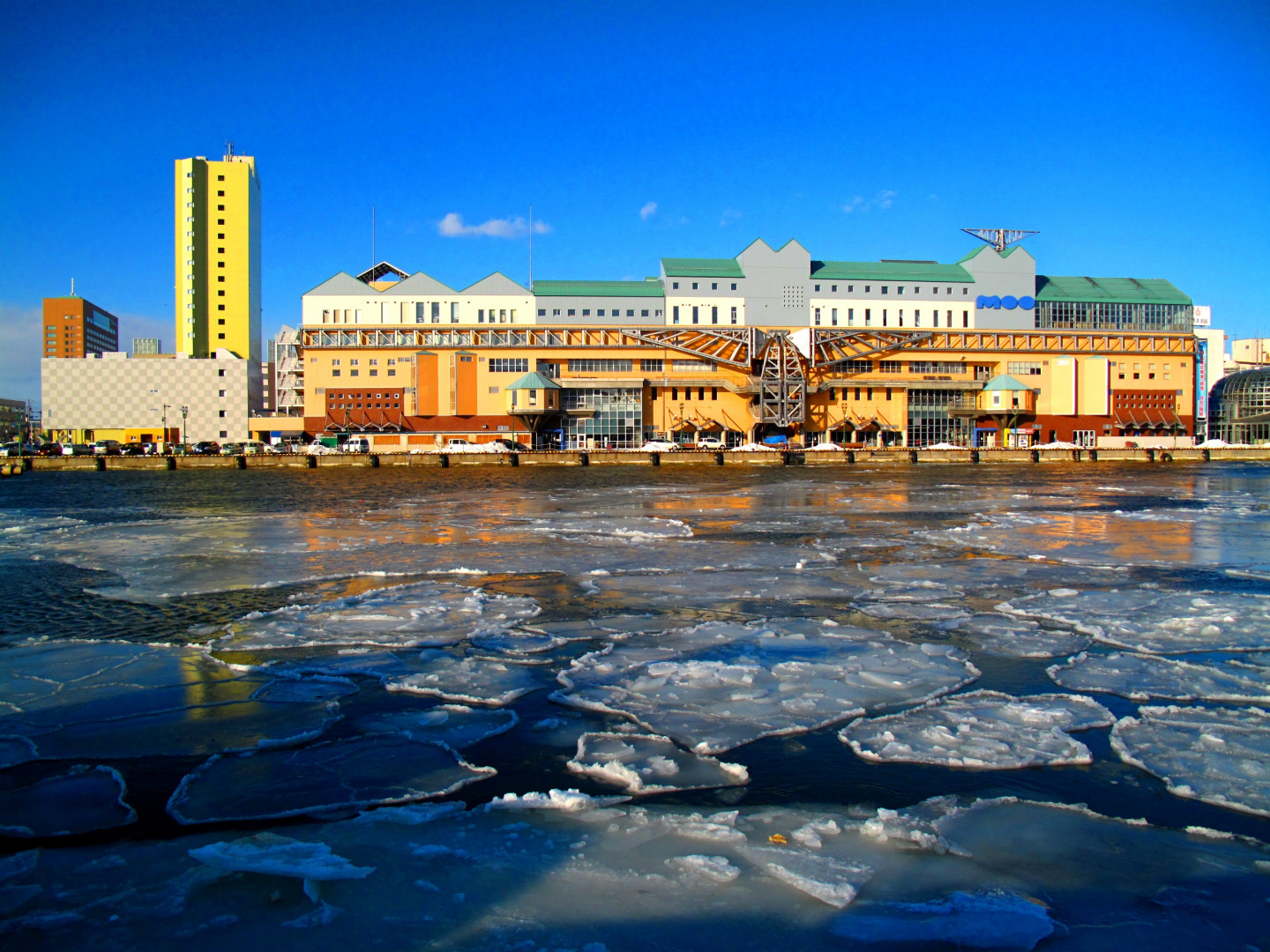 Don't miss the most beautiful scenes of Kushiro's winter!<br>Observe the tancho crane, known as the 