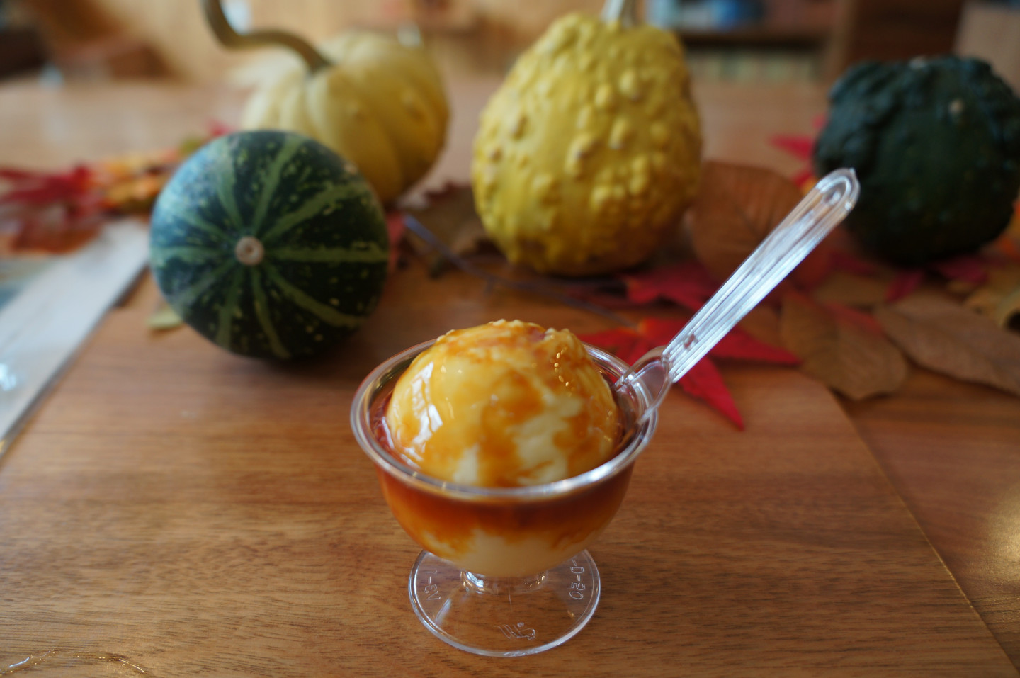 Marimo Pudding