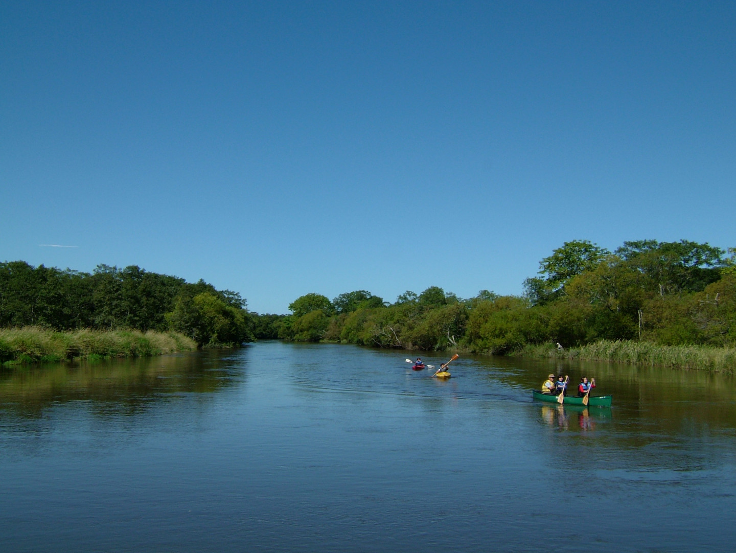 Summer is the perfect season for canoeing on the Kushiro Wetlands or Kushiro River.<br>Try long courses, and at early morning or sunset.