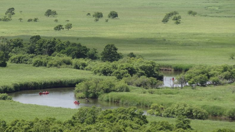 Kushiro Marsh & River