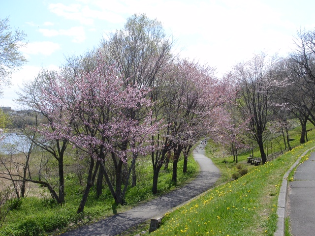 Harutori Park