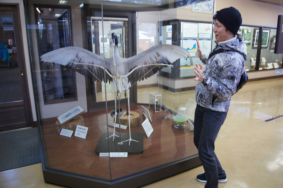 Japan’s largest bird! You won’t believe its length!